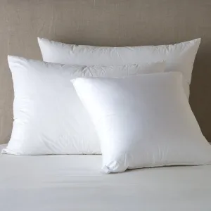 Bella Notte Divine Down Pillow Sham Insert