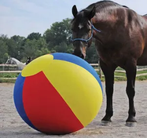 EQUINE JOLLY MEGA BALL™ Cover - 40IN - Beach Ball