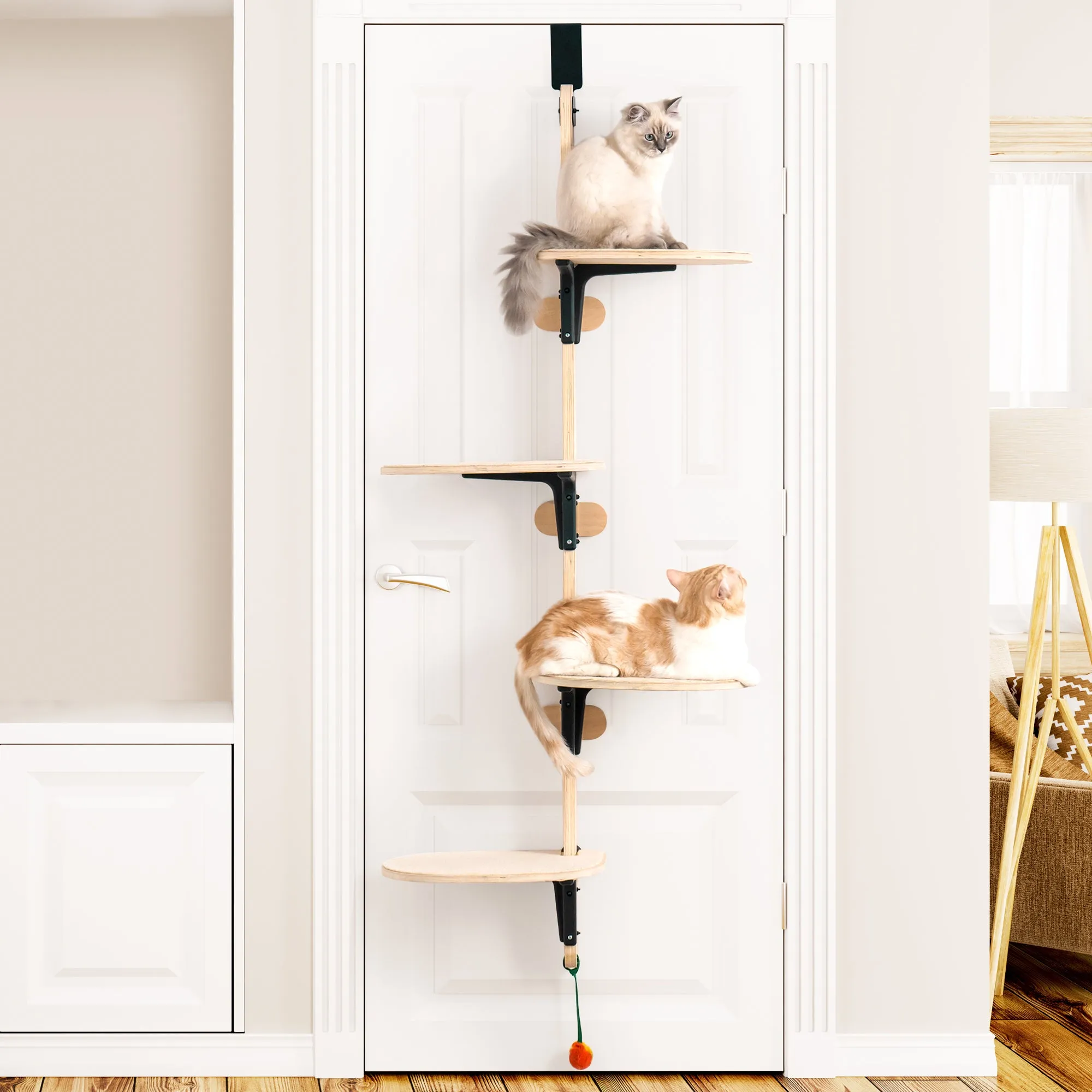 Hanging Cat Climbing Frame Behind The Door