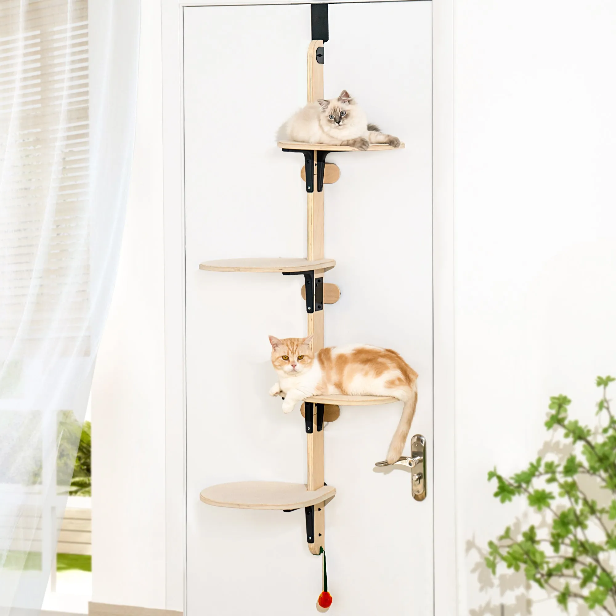 Hanging Cat Climbing Frame Behind The Door