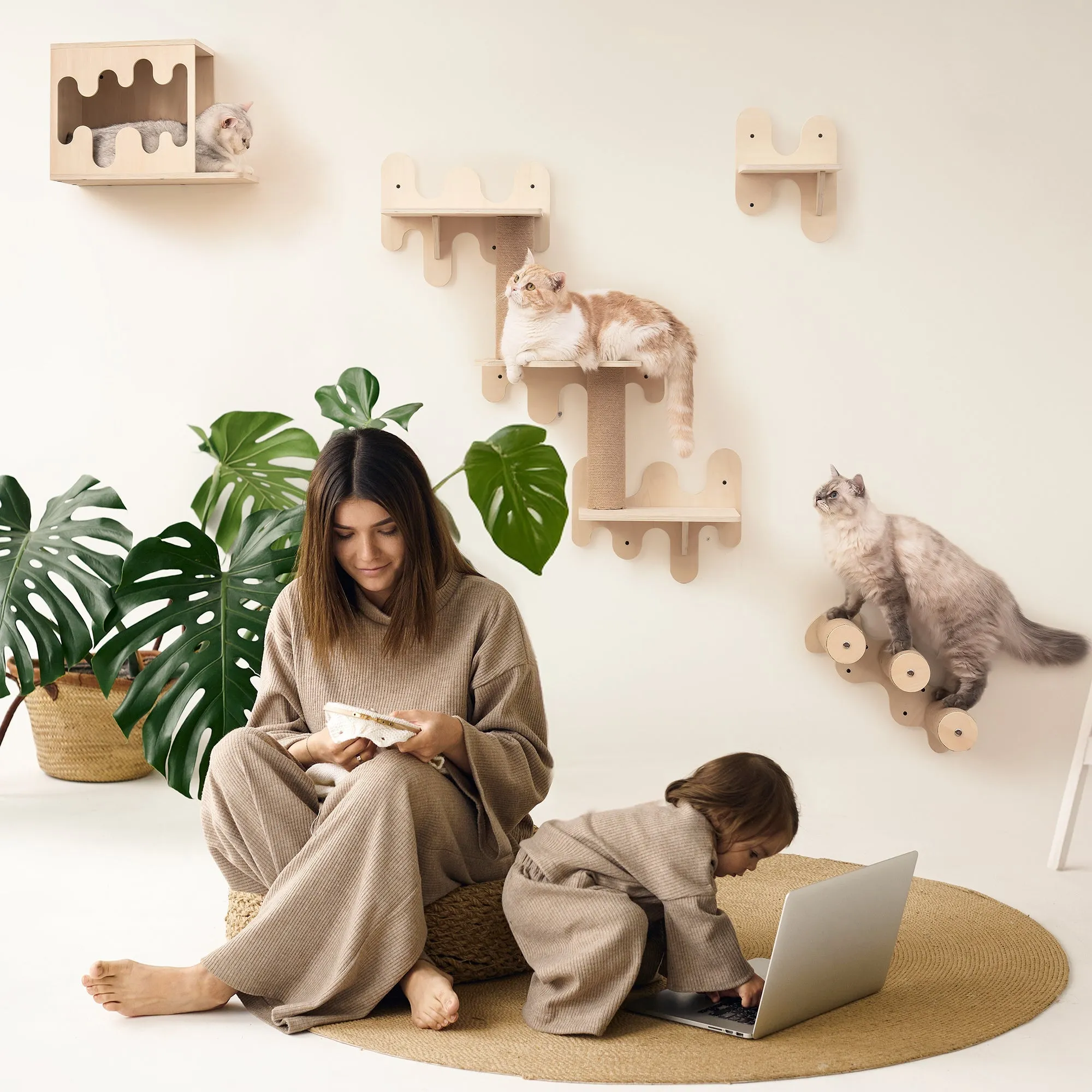 Ice Cream Wall-Mounted Cat Shelves