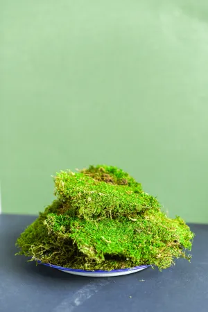 Preserved Sheet Moss